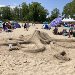 Sand Sculpture Small