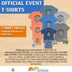 T shirt card js