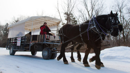 Winter Discovery Day