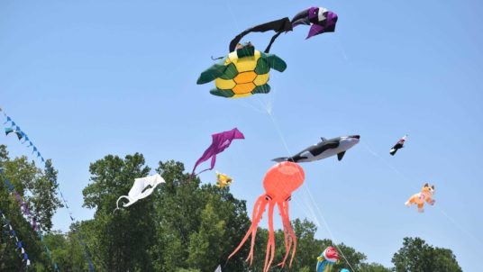 Sunset Point Kite Fliers