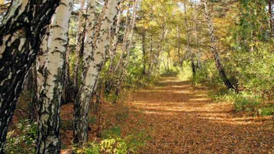 Interior Hiking Trails