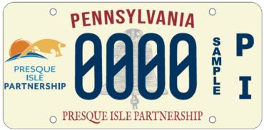 License Plate Sample