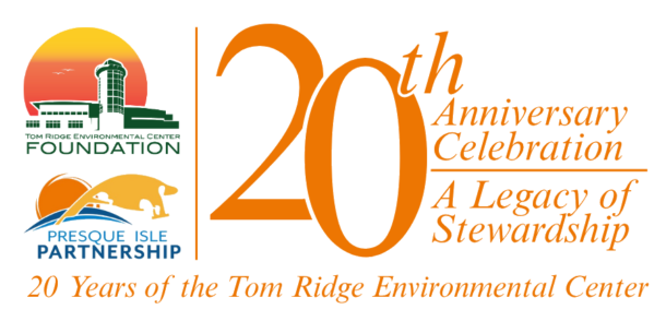 20th Anniv Logo 3 5 x 1 5 in 002
