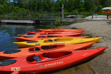 Beached Kayaks